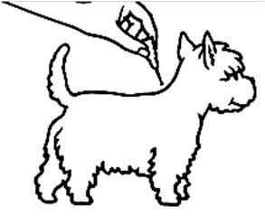 Klik for at kopiere til curserens position Advantix (4 - 10 kg) fig. 3