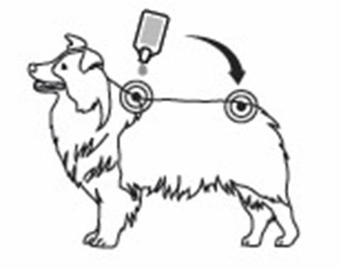 Klik for at kopiere til curserens position Exspot (> 15 kg) fig. 3