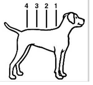 Klik for at kopiere til curserens position Bayvantic vet. (25 - 40 kg) fig. 4