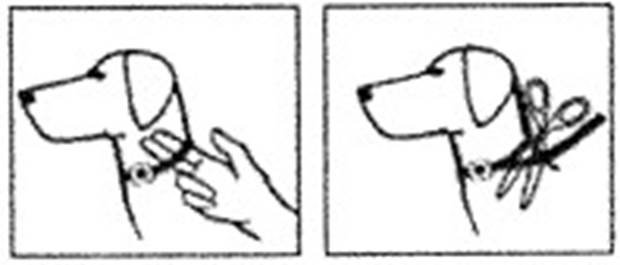 Klik for at kopiere til curserens position Scalibor (65 cm) fig. 1