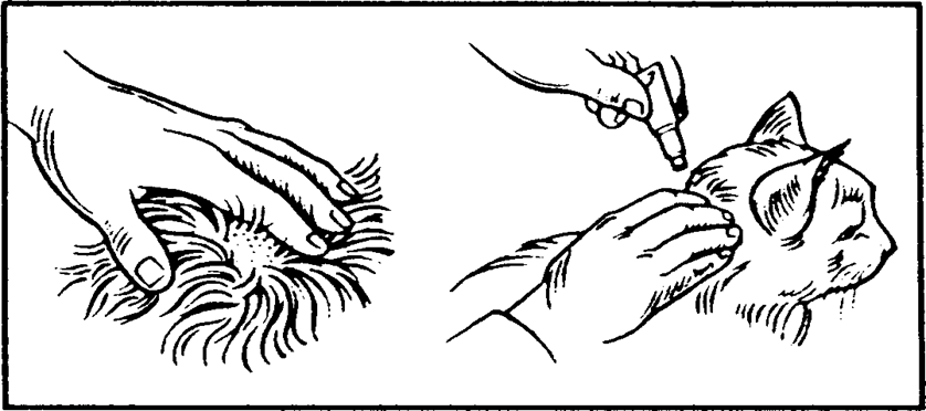 Klik for at kopiere til curserens position Advantage (> 4 kg) fig. 2