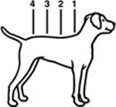 Klik for at kopiere til curserens position Advantix (25 - 40 kg) fig. 3