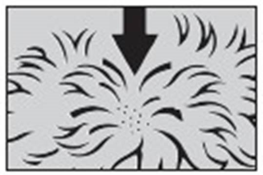 Klik for at kopiere til curserens position Prinovox (≤4 kg) fig. 2