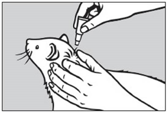 Klik for at kopiere til curserens position Prinovox (≤4 kg) fig. 4