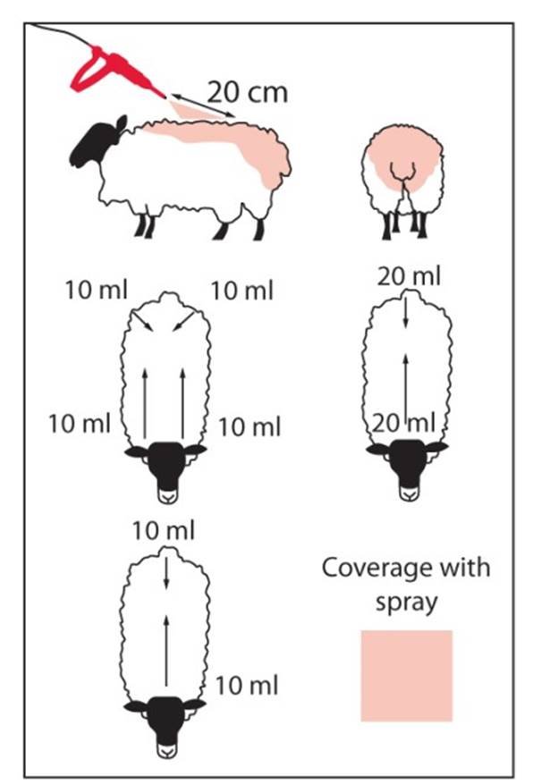 Klik for at kopiere til curserens position Ectofly fig. 1