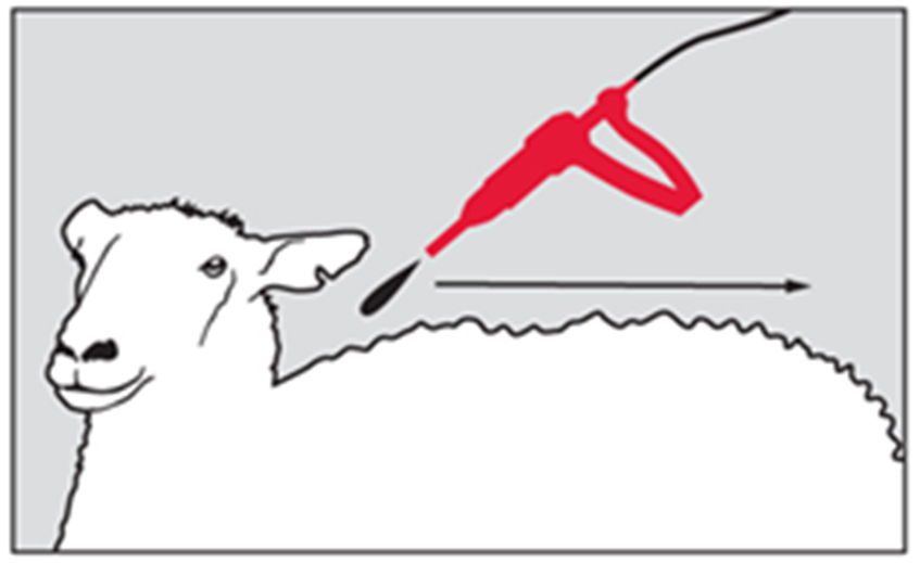 Klik for at kopiere til curserens position Ectofly fig. 2