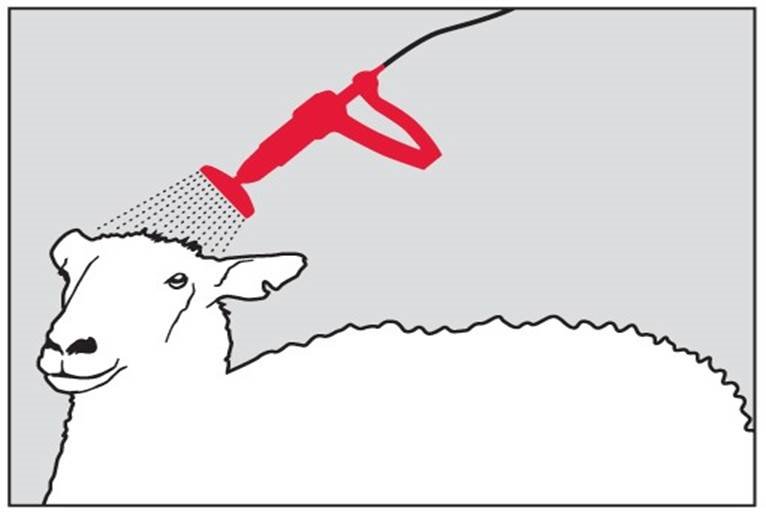 Klik for at kopiere til curserens position Ectofly fig. 4