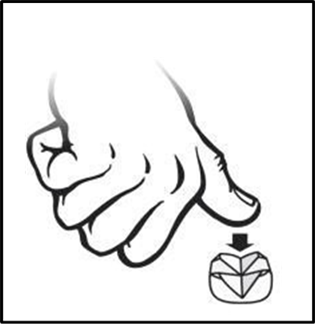 Klik for at kopiere til curserens position Wethyrox fig. 1