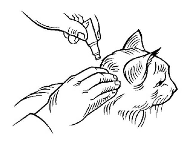 Klik for at kopiere til curserens position Advocate (< 4 kg) fig. 3