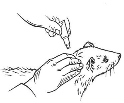 Klik for at kopiere til curserens position Advocate (< 4 kg) fig. 4