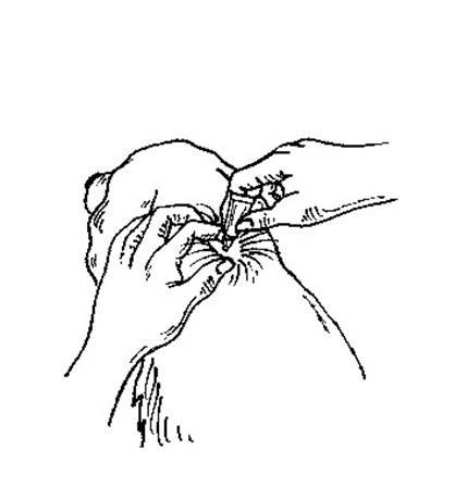 Klik for at kopiere til curserens position Advocate (< 4 kg) fig. 2