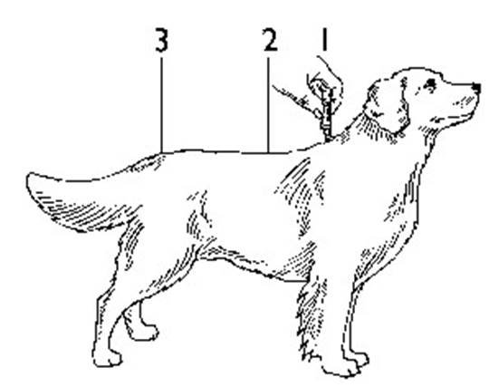 Klik for at kopiere til curserens position Advocate (< 4 kg) fig. 3