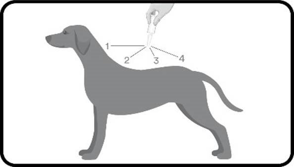 Klik for at kopiere til curserens position Pulsix (25 - 40 kg) fig. 4