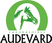 Audevard logo image