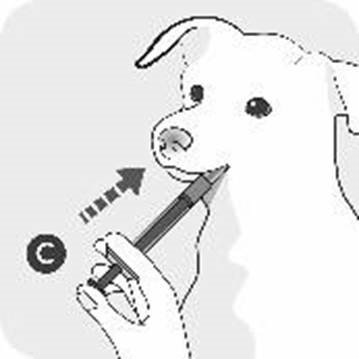 Vetmedin vet. fig. 3