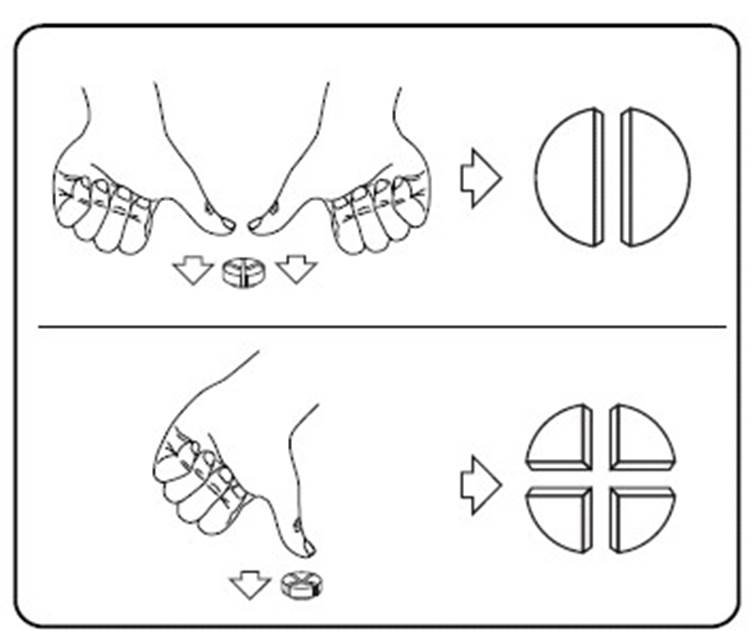 Prednicortone vet. fig. 1