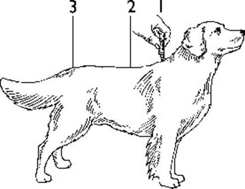 Advantage vet. (25 - 40 kg) fig. 2
