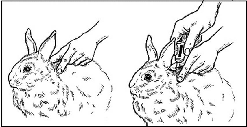 Advantage (> 4 kg) fig. 3