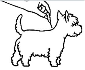 Advantix (< 4 kg) fig. 3