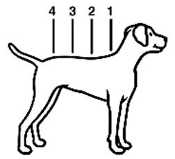 Advantix (25 - 40 kg) fig. 3