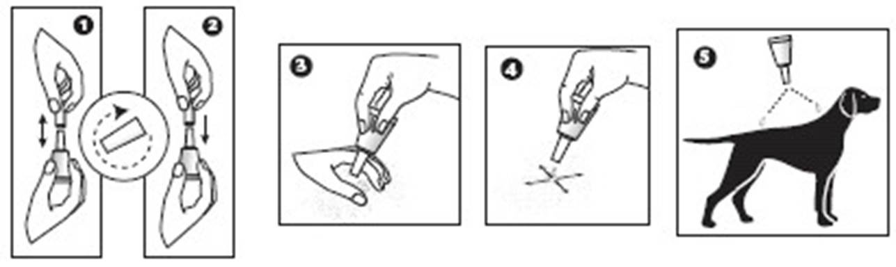 Effipro (20 - 40 kg) fig. 3