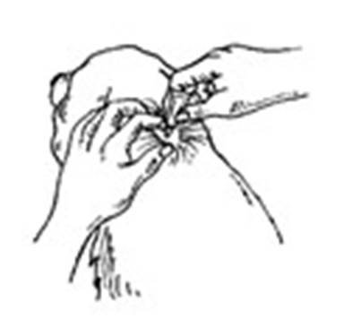 Advantage vet. (4 - 10 kg) fig. 2