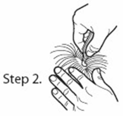 Exspot vet. (5 - 15 kg) fig. 2
