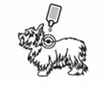 Exspot vet. (5 - 15 kg) fig. 3