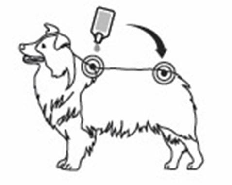 Exspot vet. (5 - 15 kg) fig. 4