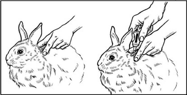 Advantage vet. (< 4 kg) fig. 3