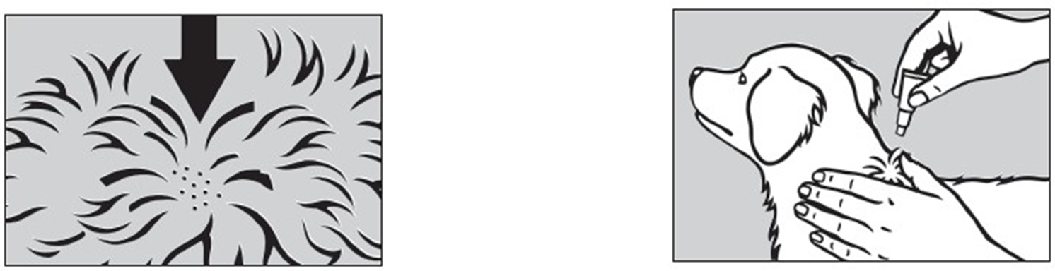 Prinovox (< 4 kg) fig. 2