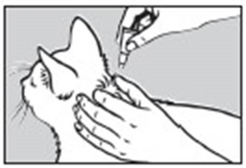 Prinovox (4 - 8 kg) fig. 6