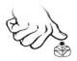 Forthyron flavour fig. 1