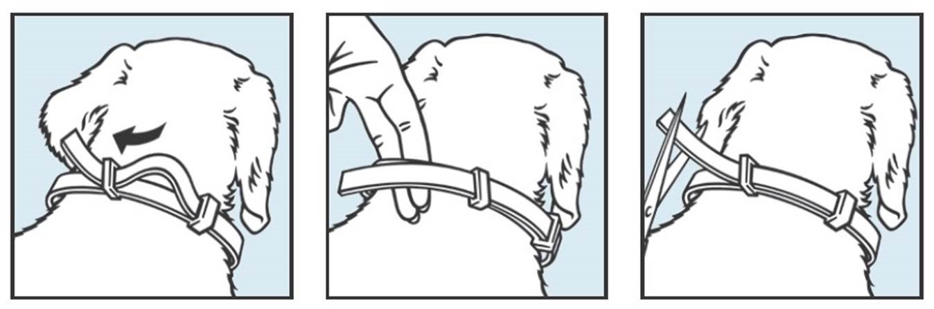 Seresto vet. (< 8 kg) fig. 1