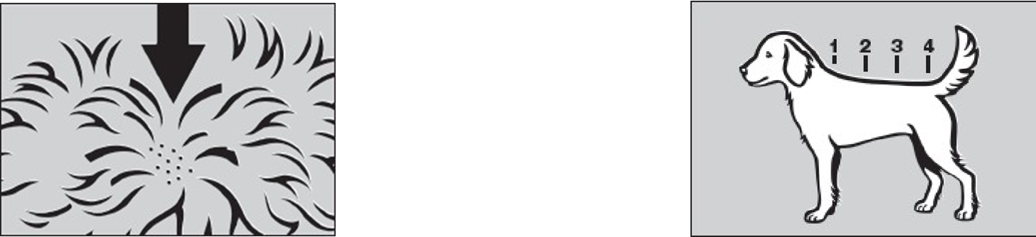 Prinovox (25 - 40 kg) fig. 2