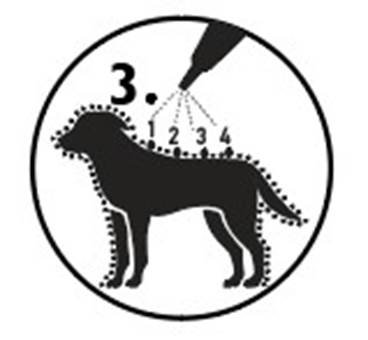 Ataxxa (25 - 40 kg) fig. 4