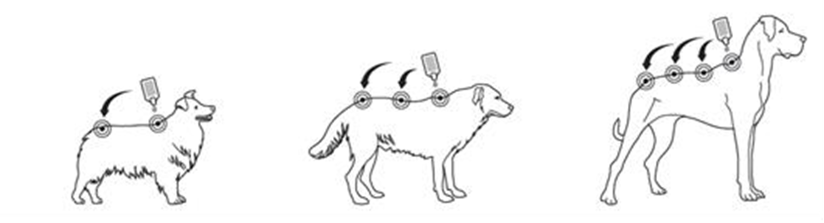 Bravecto spot-on (2 - 4,5 kg) fig. 2