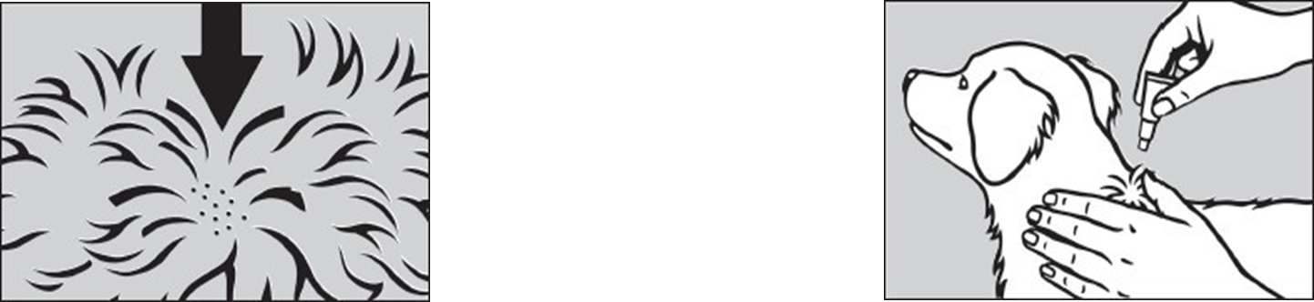 Prinovox (< 4 kg) fig. 2