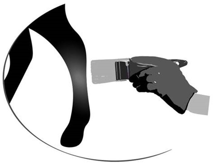 Ekyflogyl vet. fig. 1