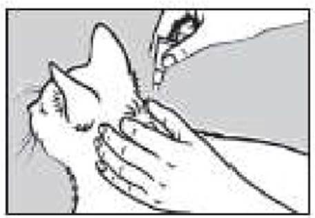 Prinovox (≤4 kg) fig. 3