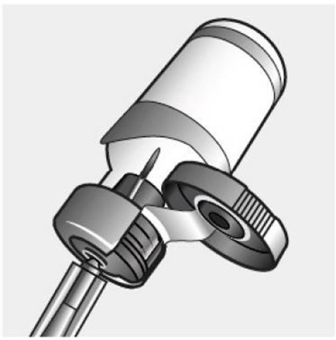 Versican Plus Bb Oral fig. 3