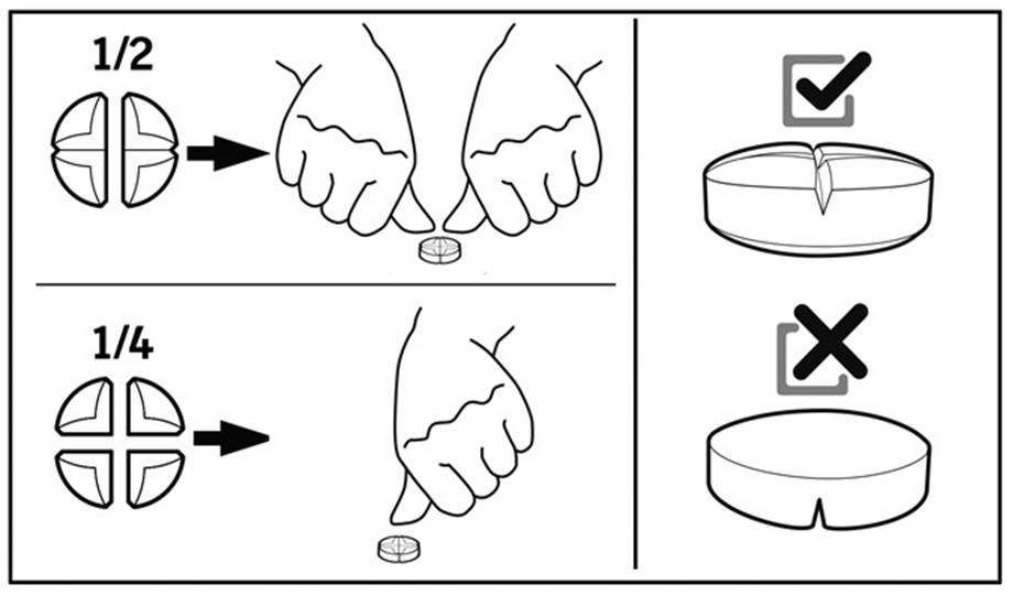 Clavusan 250 mg + 62.5 mg tablets for dogs and cats fig. 2