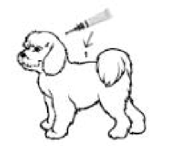 Vectra 3D (1,5 - 4 kg) fig. 4