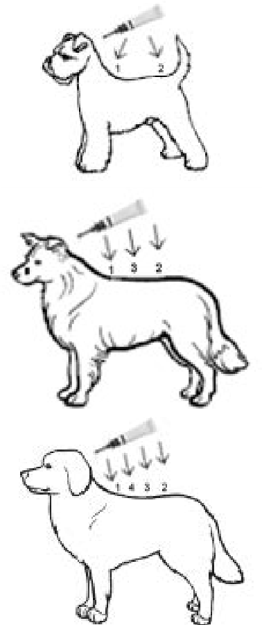 Vectra 3D (1,5 - 4 kg) fig. 5