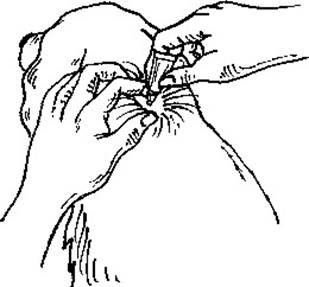 Advantage vet. (4 - 10 kg) fig. 2