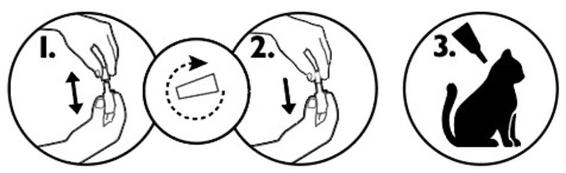 Fiprotec Combo Cat fig. 1