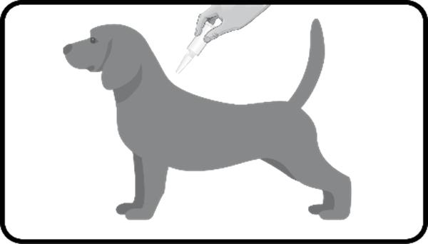 Pulsix (25 - 40 kg) fig. 3