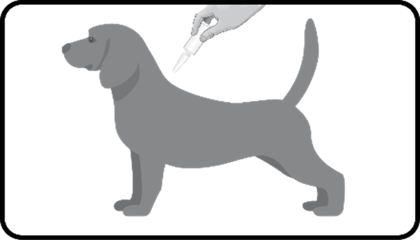 Pulsix (1,5 - 4 kg) fig. 3