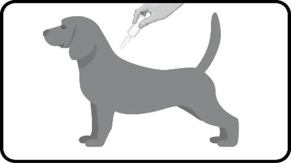 Pulsix (1,5 - 4 kg) fig. 3