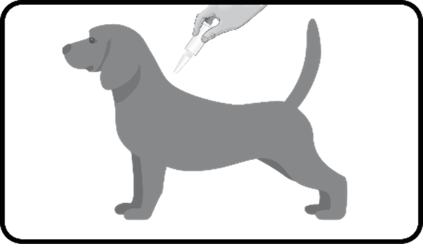 Pulsix (10 - 25 kg) fig. 3